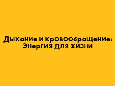 Дыхание и кровообращение: Энергия для жизни