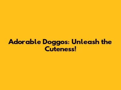 Adorable Doggos: Unleash the Cuteness!