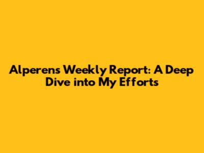 Alperen's Weekly Report: A Deep Dive into My Efforts