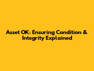 Asset OK: Ensuring Condition & Integrity Explained