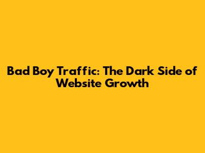 Bad Boy Traffic: The Dark Side of Website Growth