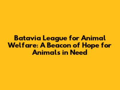 Batavia League for Animal Welfare: A Beacon of Hope for Animals in Need