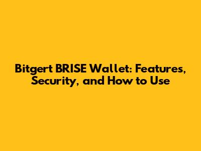 Bitgert BRISE Wallet: Features, Security, and How to Use