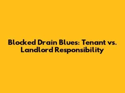 Blocked Drain Blues: Tenant vs. Landlord Responsibility
