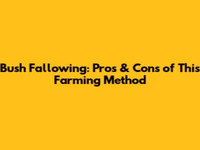 Bush Fallowing: Pros & Cons of This Farming Method