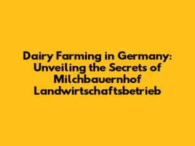 Dairy Farming in Germany: Unveiling the Secrets of Milchbauernhof Landwirtschaftsbetrieb