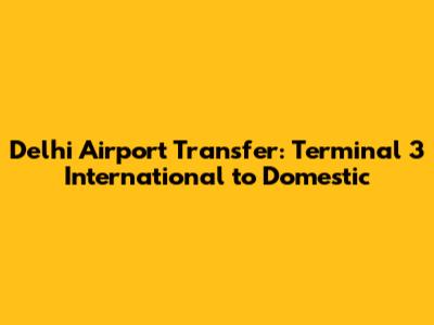 Delhi Airport Transfer: Terminal 3 International to Domestic