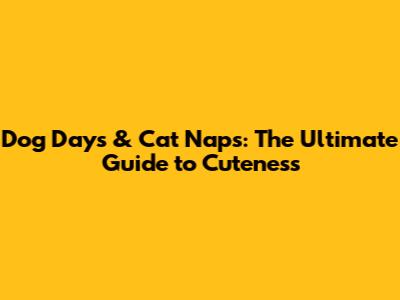 Dog Days & Cat Naps: The Ultimate Guide to Cuteness