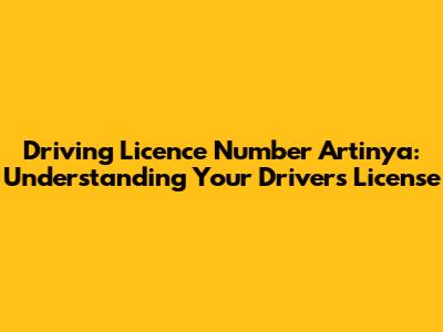 Driving Licence Number Artinya: Understanding Your Driver's License