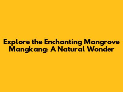 Explore the Enchanting Mangrove Mangkang: A Natural Wonder