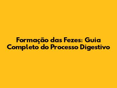 Formação das Fezes: Guia Completo do Processo Digestivo