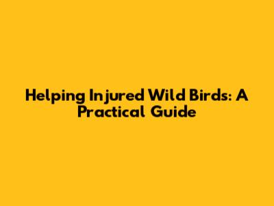 Helping Injured Wild Birds: A Practical Guide