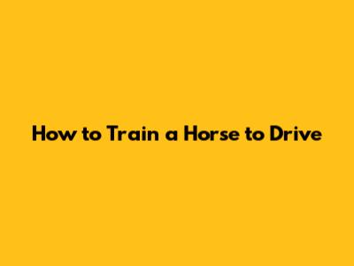 How to Train a Horse to Drive