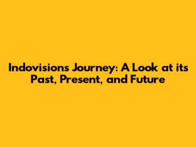Indovision's Journey: A Look at its Past, Present, and Future