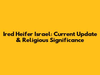 Ired Heifer Israel: Current Update & Religious Significance
