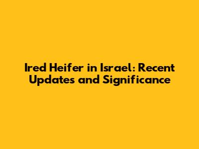 Ired Heifer in Israel: Recent Updates and Significance