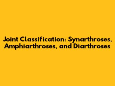 Joint Classification: Synarthroses, Amphiarthroses, and Diarthroses