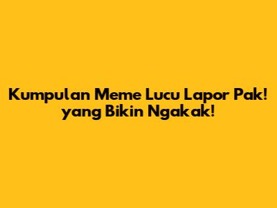 Kumpulan Meme Lucu 'Lapor Pak!' yang Bikin Ngakak!