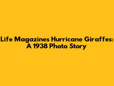Life Magazine's Hurricane Giraffes: A 1938 Photo Story