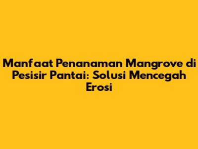 Manfaat Penanaman Mangrove di Pesisir Pantai: Solusi Mencegah Erosi