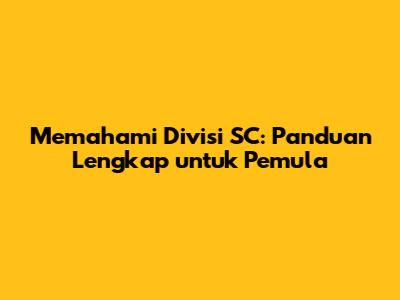 Memahami Divisi SC: Panduan Lengkap untuk Pemula