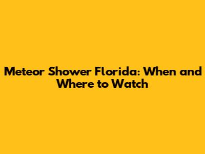 Meteor Shower Florida: When and Where to Watch