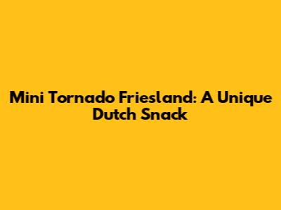 Mini Tornado Friesland: A Unique Dutch Snack