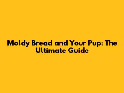 Moldy Bread and Your Pup: The Ultimate Guide