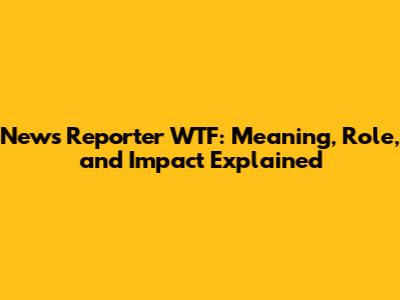 News Reporter WTF: Meaning, Role, and Impact Explained