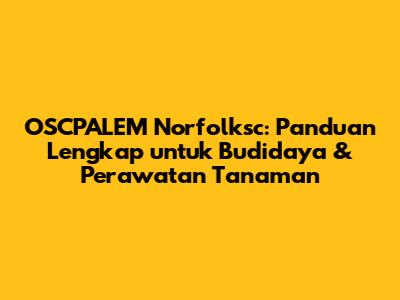OSCPALEM Norfolksc: Panduan Lengkap untuk Budidaya & Perawatan Tanaman
