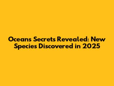Ocean's Secrets Revealed: New Species Discovered in 2025