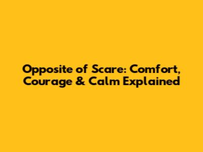 Opposite of Scare: Comfort, Courage & Calm Explained