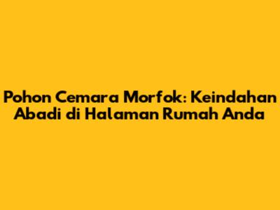 Pohon Cemara Morfok: Keindahan Abadi di Halaman Rumah Anda