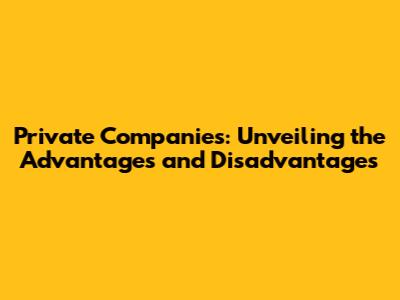 Private Companies: Unveiling the Advantages and Disadvantages