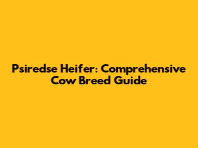 Psiredse Heifer: Comprehensive Cow Breed Guide