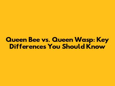 Queen Bee vs. Queen Wasp: Key Differences You Should Know