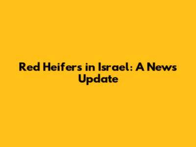 Red Heifers in Israel: A News Update