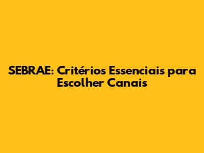 SEBRAE: Critérios Essenciais para Escolher Canais