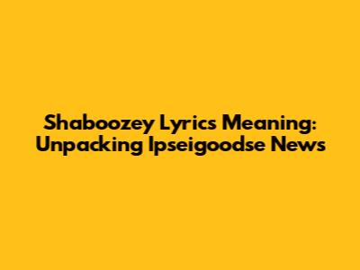Shaboozey Lyrics Meaning: Unpacking Ipseigoodse News