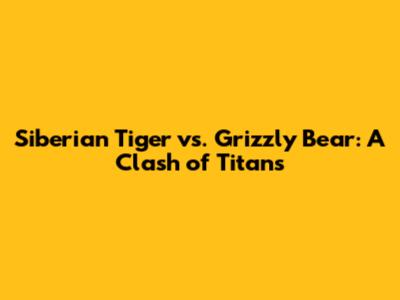 Siberian Tiger vs. Grizzly Bear: A Clash of Titans