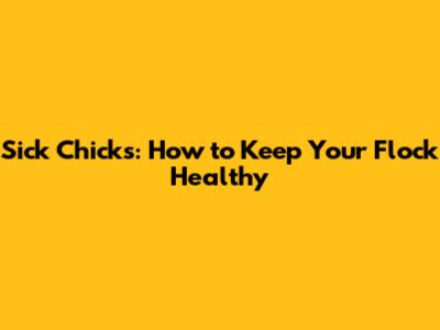 Sick Chicks: How to Keep Your Flock Healthy