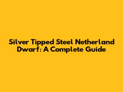 Silver Tipped Steel Netherland Dwarf: A Complete Guide