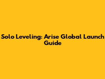 Solo Leveling: Arise Global Launch Guide
