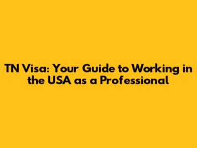 TN Visa: Your Guide to Working in the USA as a Professional