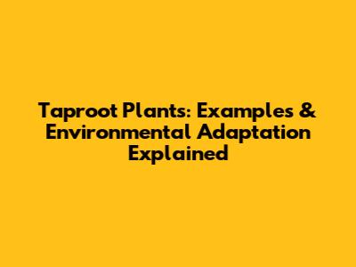 Taproot Plants: Examples & Environmental Adaptation Explained