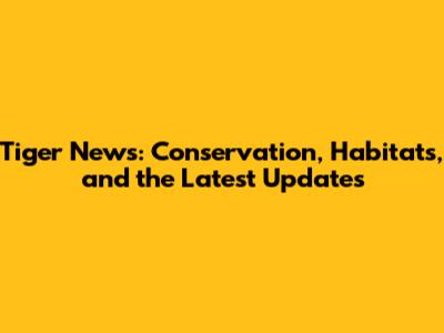 Tiger News: Conservation, Habitats, and the Latest Updates
