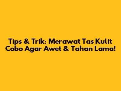 Tips & Trik: Merawat Tas Kulit Cobo Agar Awet & Tahan Lama!