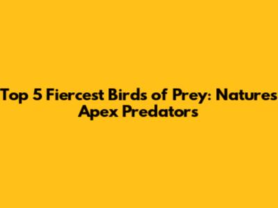 Top 5 Fiercest Birds of Prey: Nature's Apex Predators