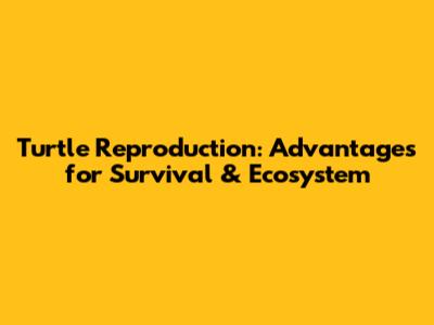 Turtle Reproduction: Advantages for Survival & Ecosystem