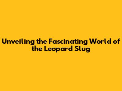 Unveiling the Fascinating World of the Leopard Slug